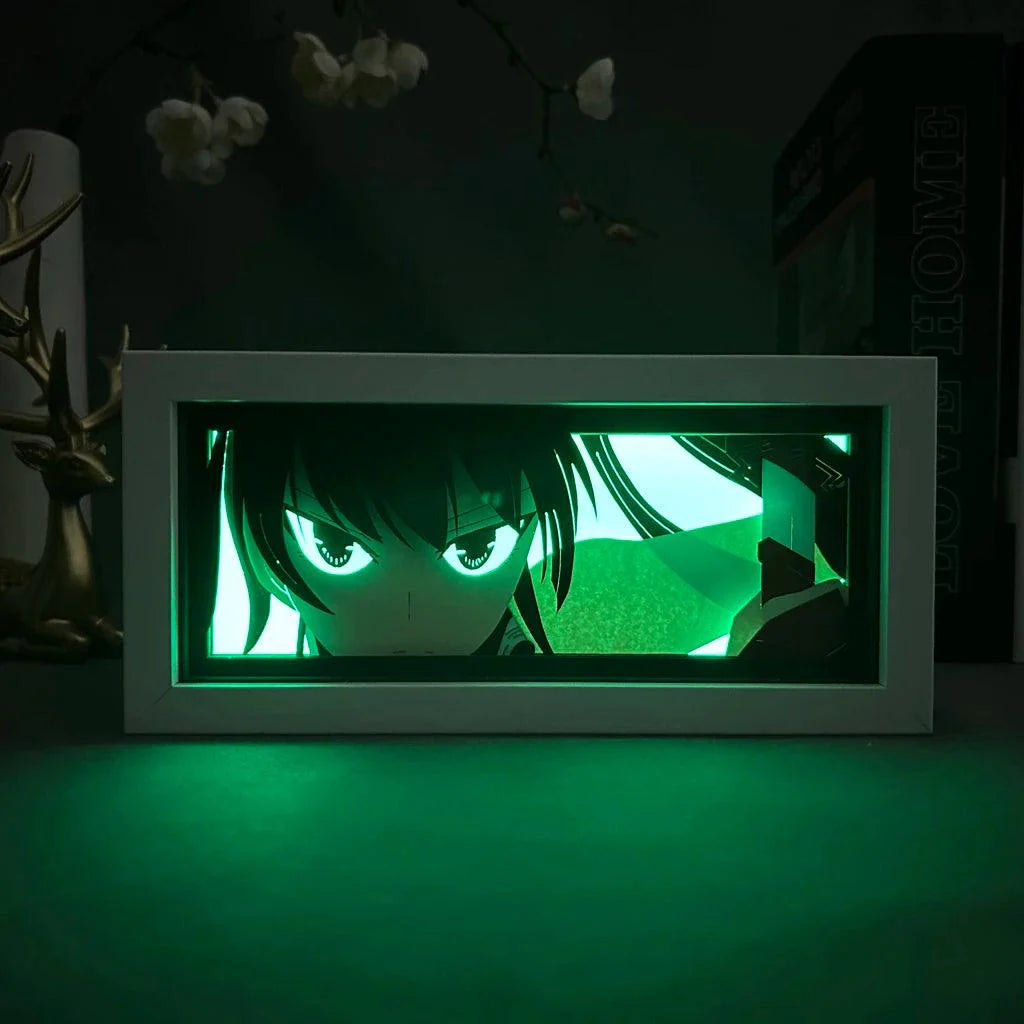 Akame Ga Kill LightBox - LightBox Anime Store