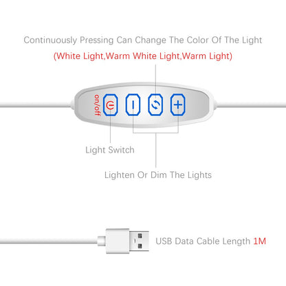 Cadre lumineux LED Zenitsu Agatsuma